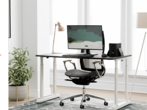 Best Ergonomic Chair